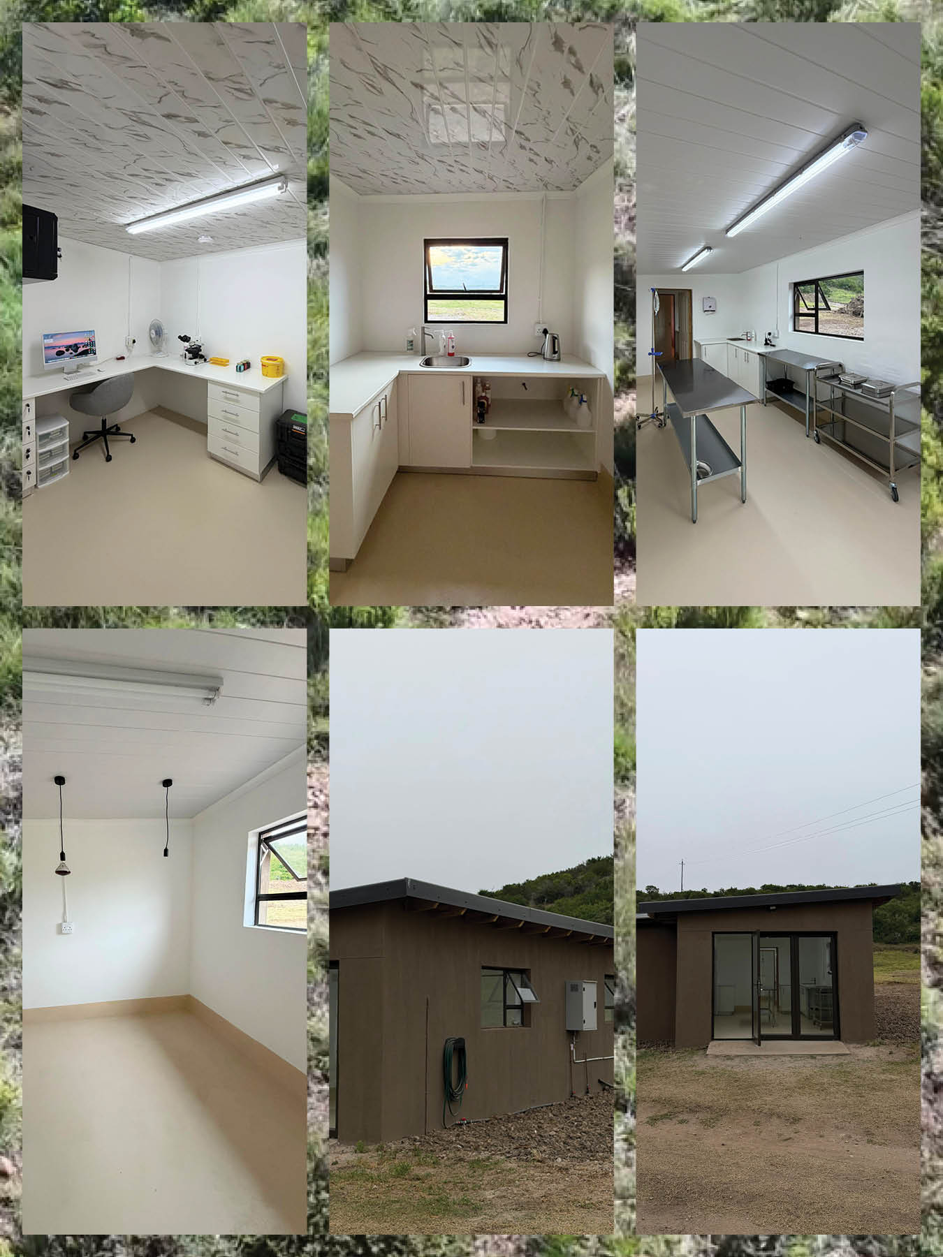 The Veterinary Clinic
